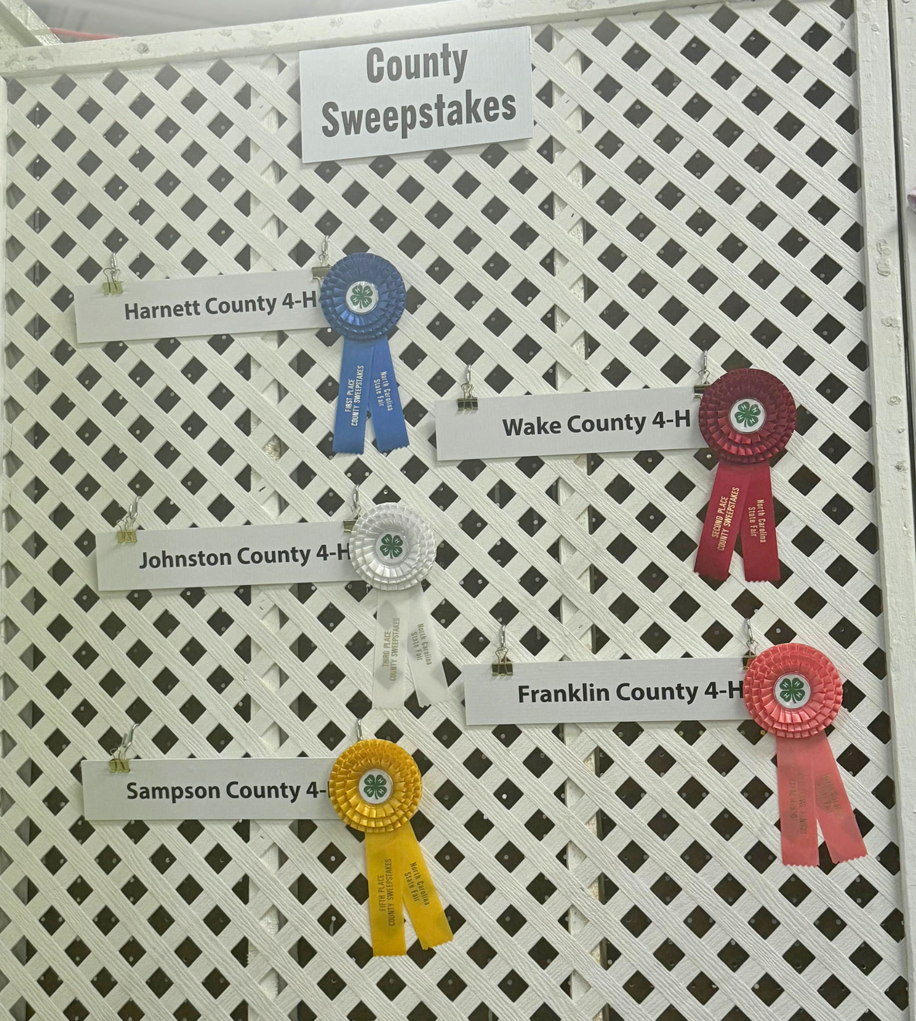 4 ribbons on a board, blue, red, orange, and yellow