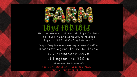 Red and black plaid image Farm Toys For Tots